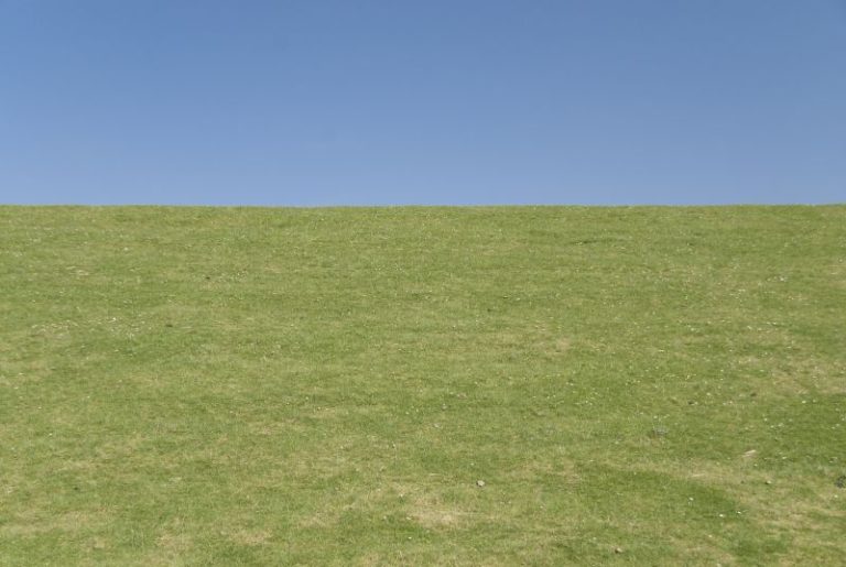 Besser Fotografieren
